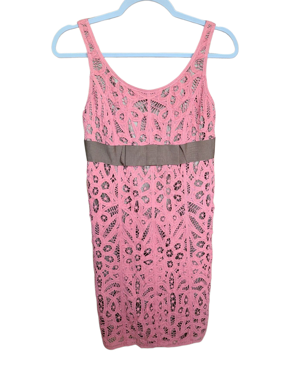 Betsey Johnson Vintage Pink/Brown Floral Lace Overlay Empire Dress Size 2 NWT
